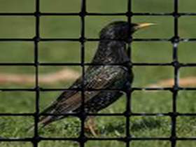 Environmentally Friendly Bird Control Netting