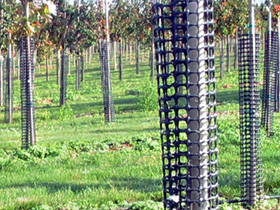 Agricultural Netting