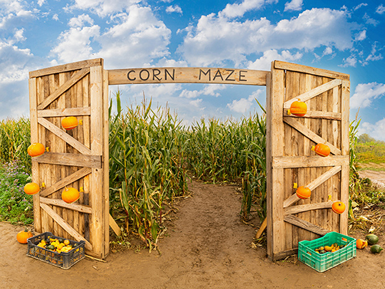 Corn Maze Netting
