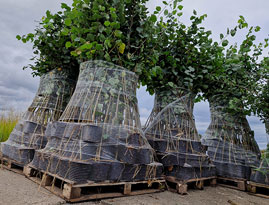 Load Divider Netting