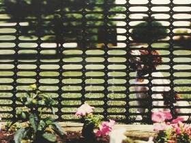 UV Stabilized Plastic Fencing for Long Life