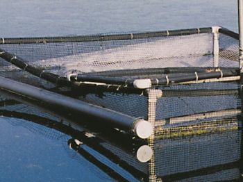 Plastic Cage Netting