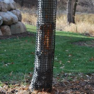 2' Tree Guard Sturdy Deer Resistant Poly Mesh Bark Protection 5 Pack 