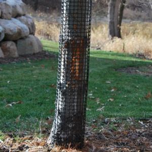 Tree &amp; Bark Protectors from Industrial Netting