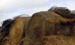 Use plastic mesh from Industrial Netting to prevent depredation of stored crops
