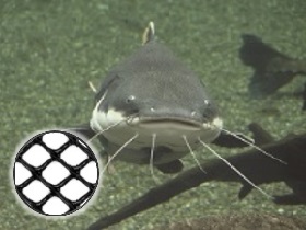 Buy Aquaculture Netting Now