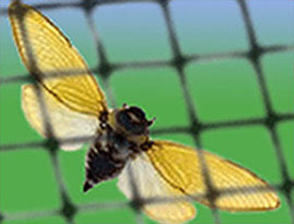 Cicada Netting