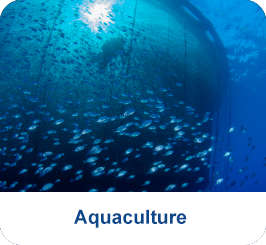 Aquaculture