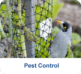 Pest Control