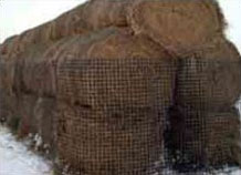 Protect feed storage areas from foraging wildlife
