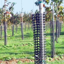 RB0936 - 12" Long Tree Bark Protectors (Full Box Qty - 20)